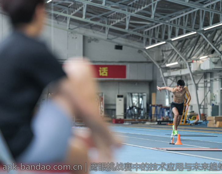 鹰眼挑战赛中的技术应用与未来趋势分析